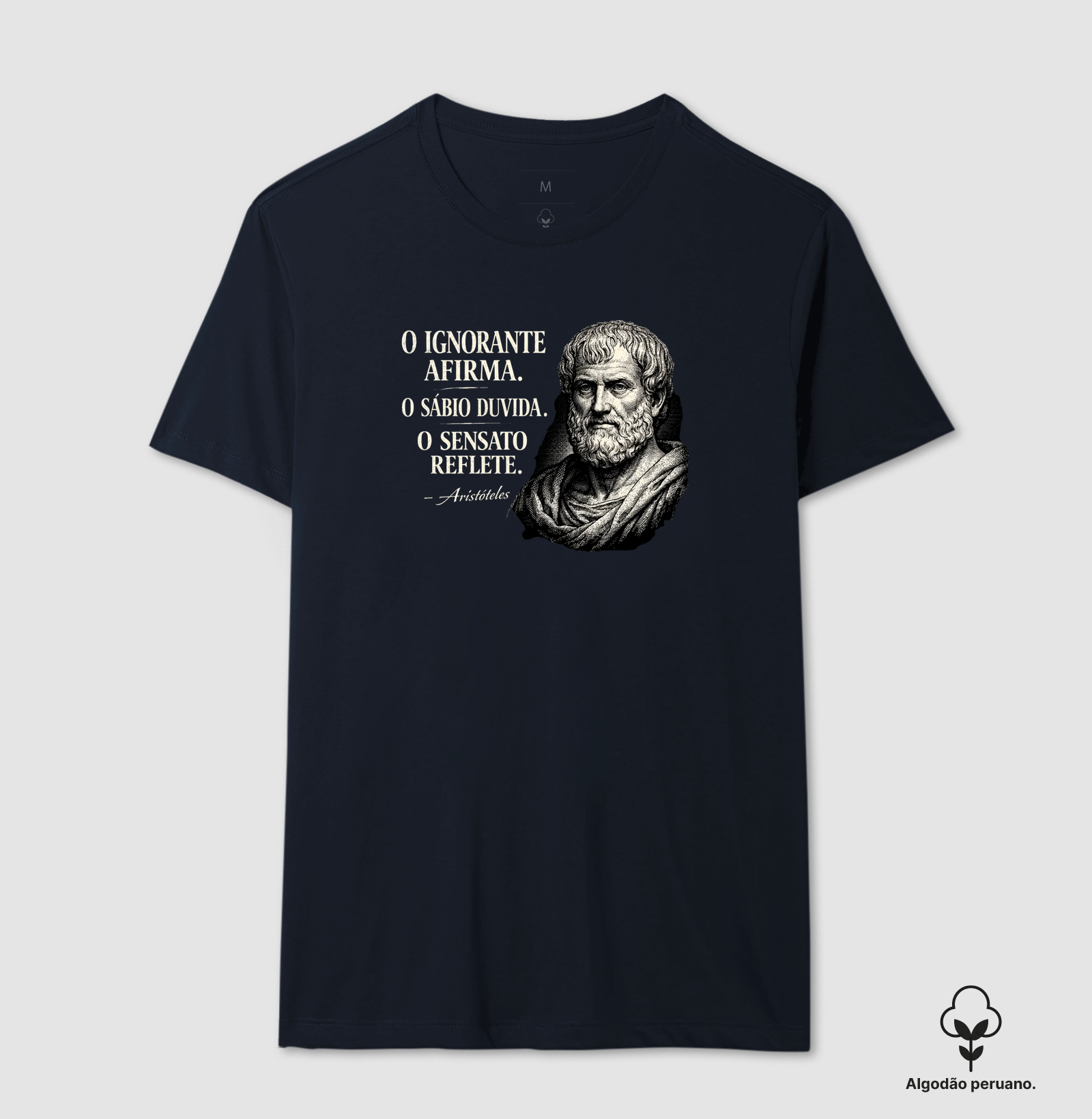 Filosofia de Aristóteles - Imagem 8