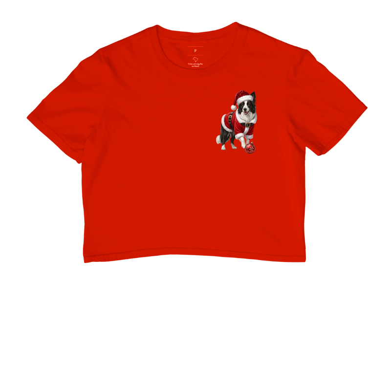 Border Collie - Natal - Imagem 7