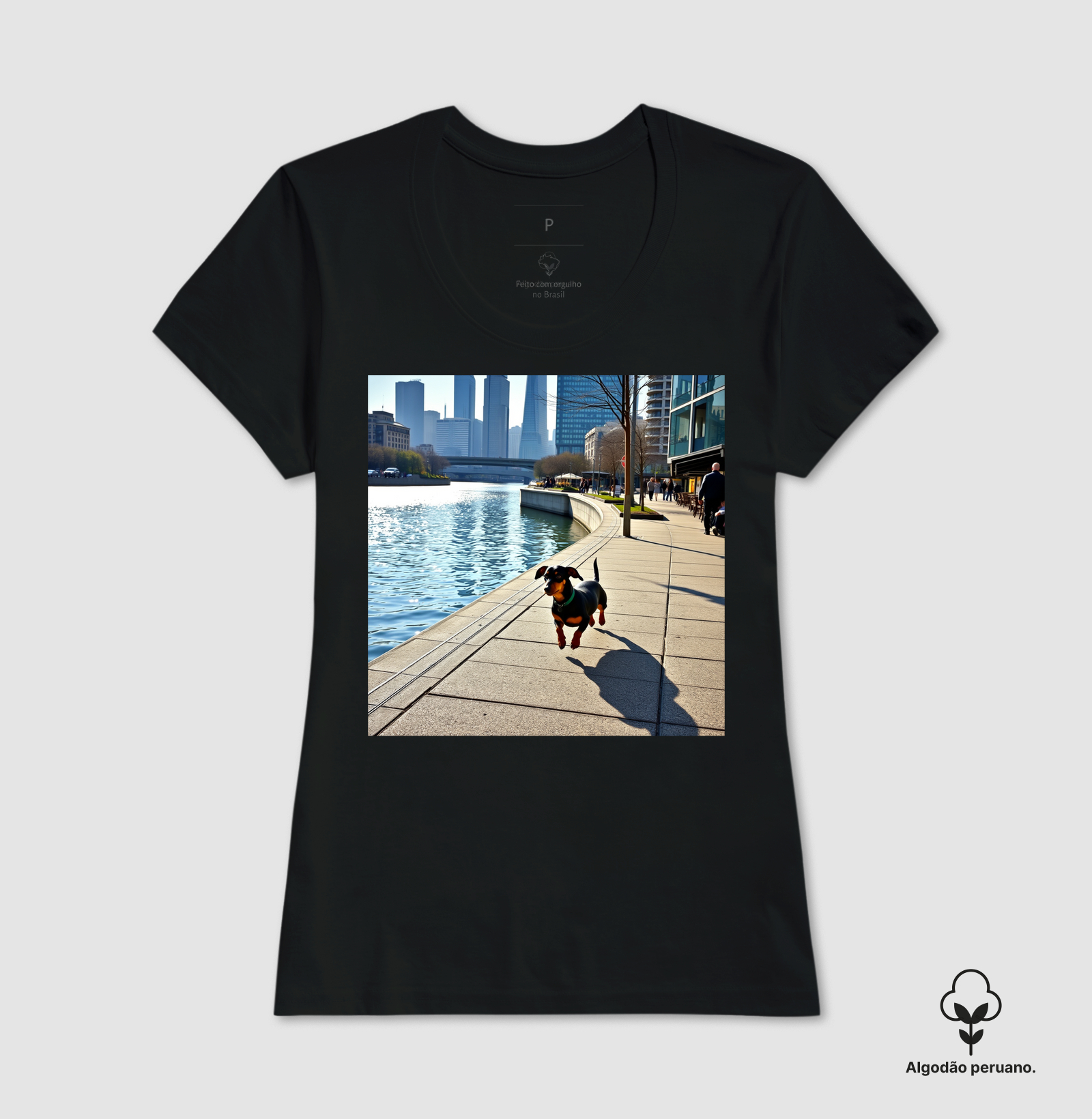 Camisa 6