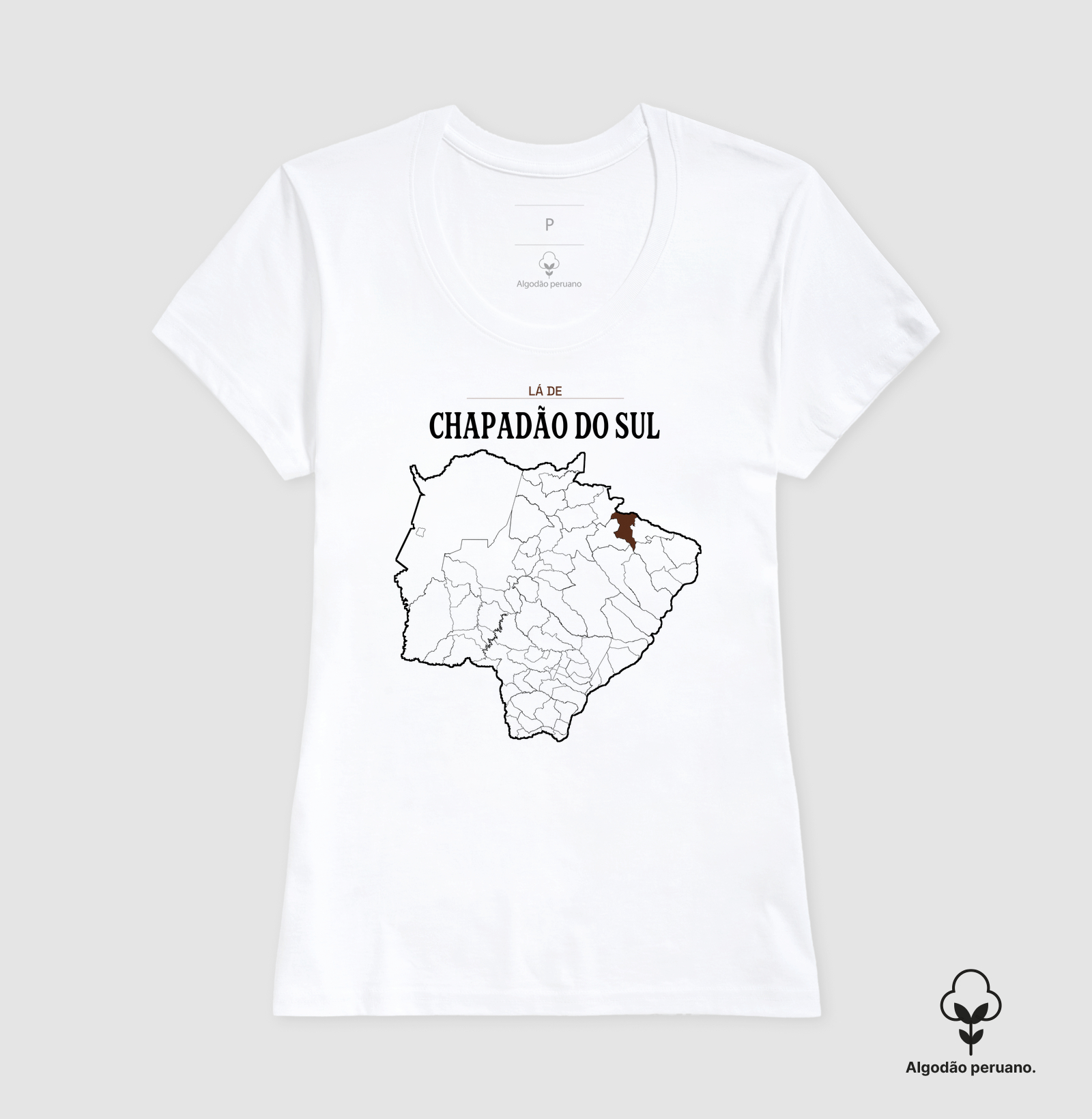 Chapadão do Sul | Território MS - Imagem 6