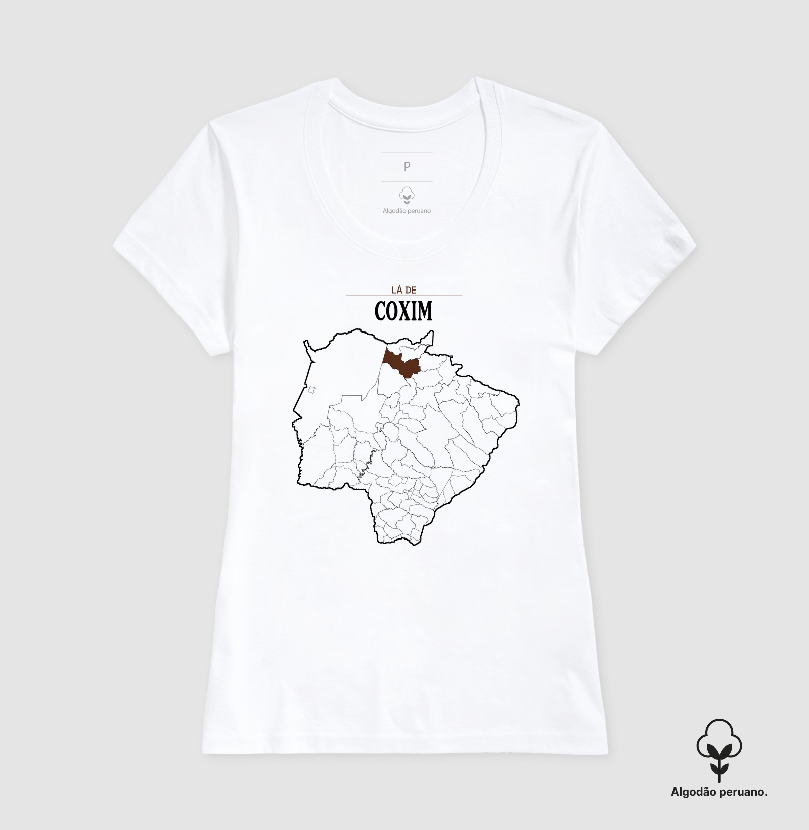 Coxim | Território MS - Imagem 6