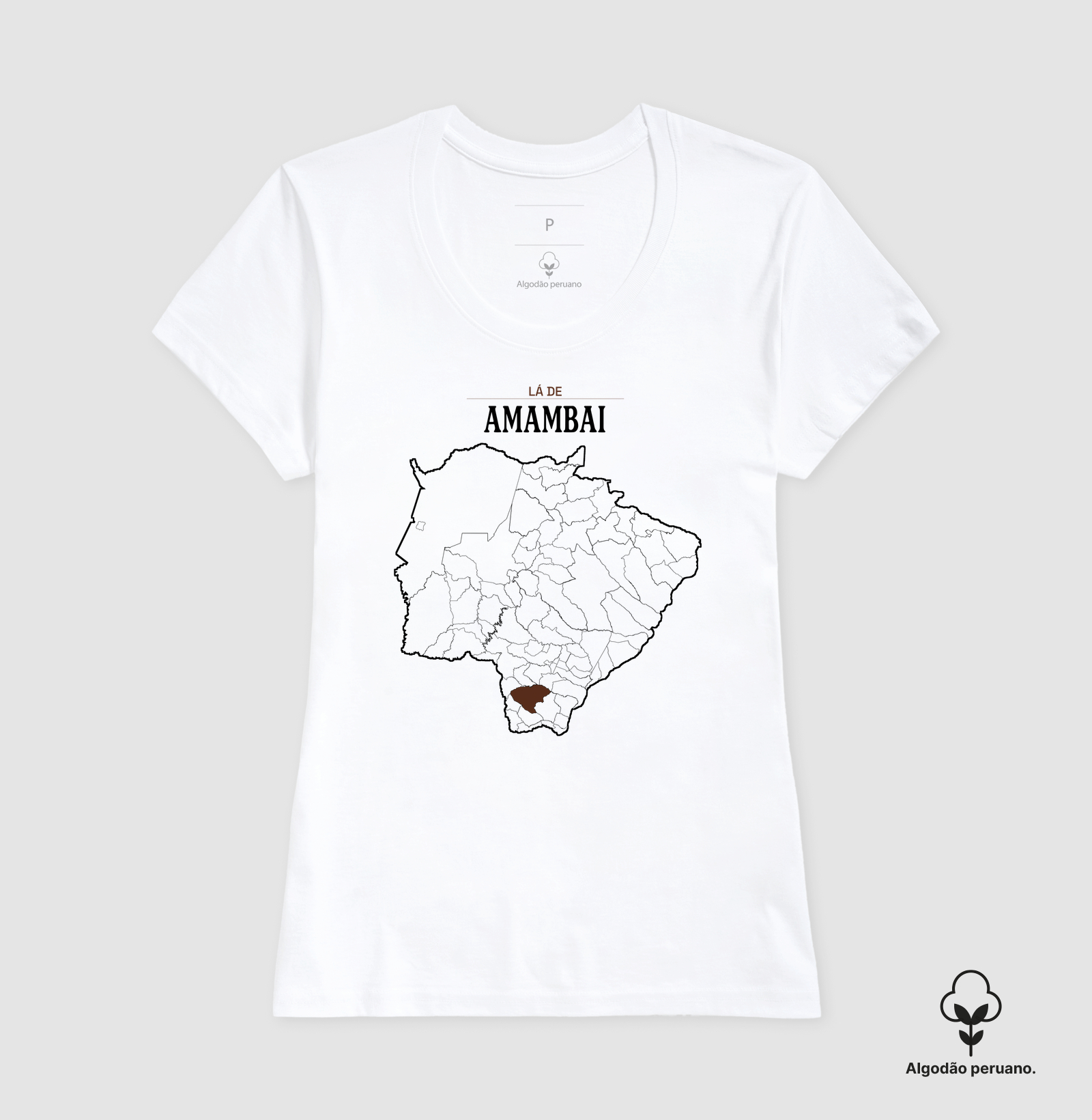 Amambai | Território MS - Imagem 6