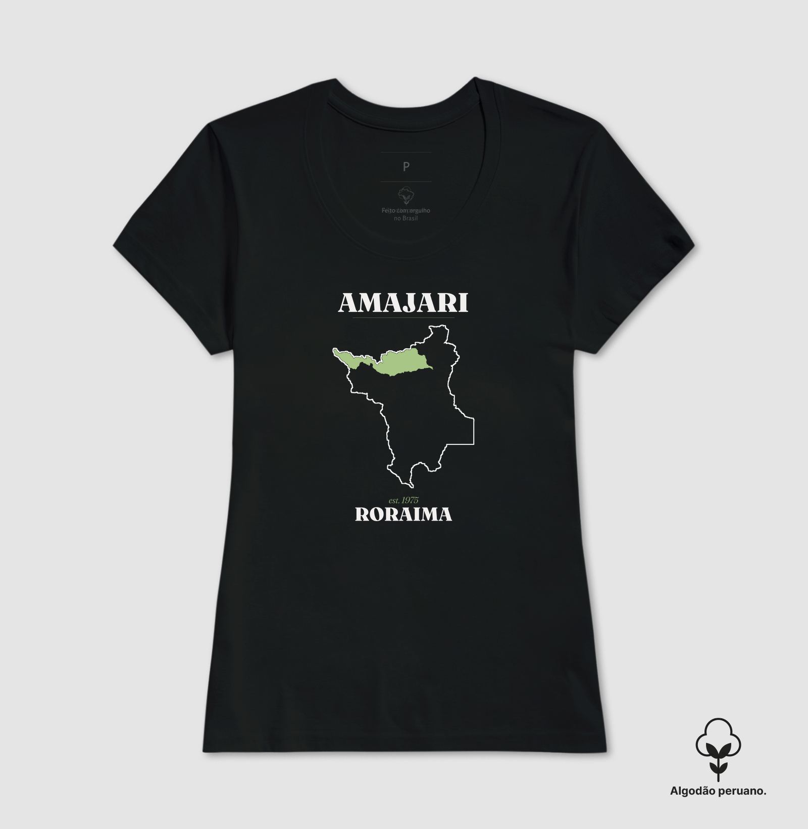 Amajari | Legado RR - Imagem 5