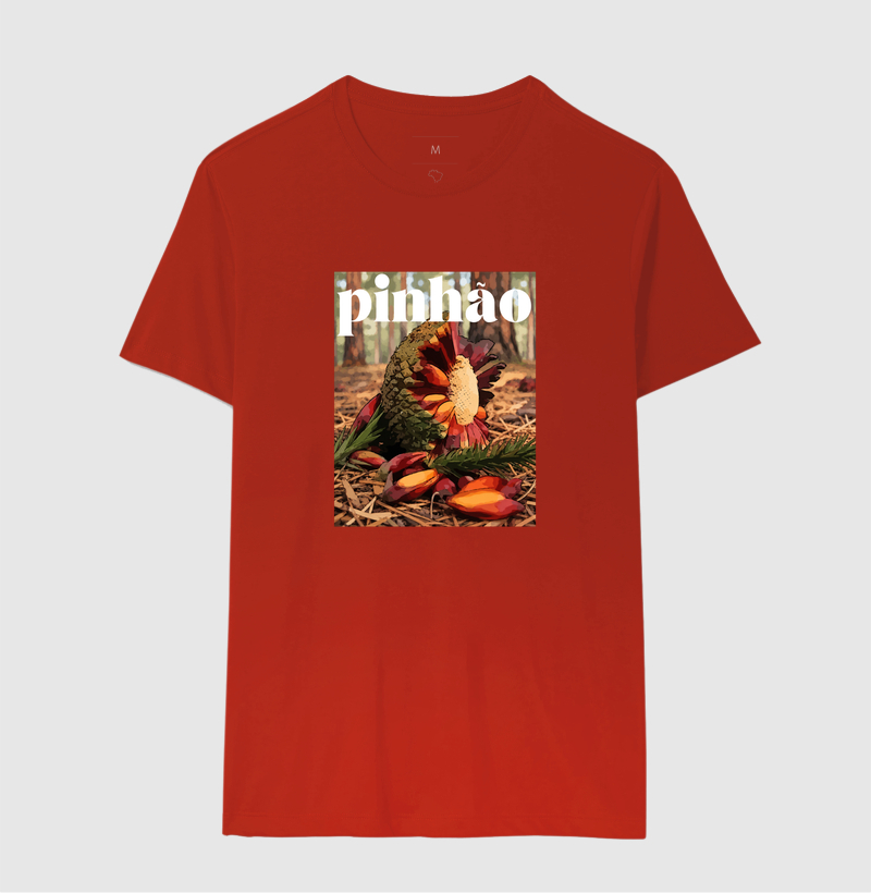 Pinhão - Imagem 10