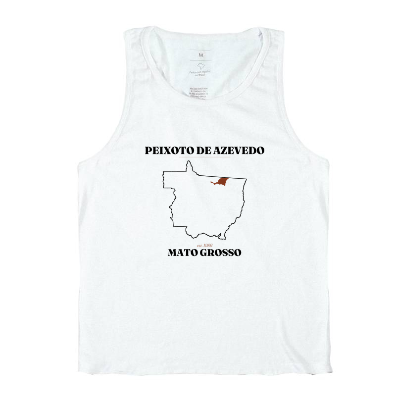 Peixoto de Azevedo | Legado MT - Imagem 2