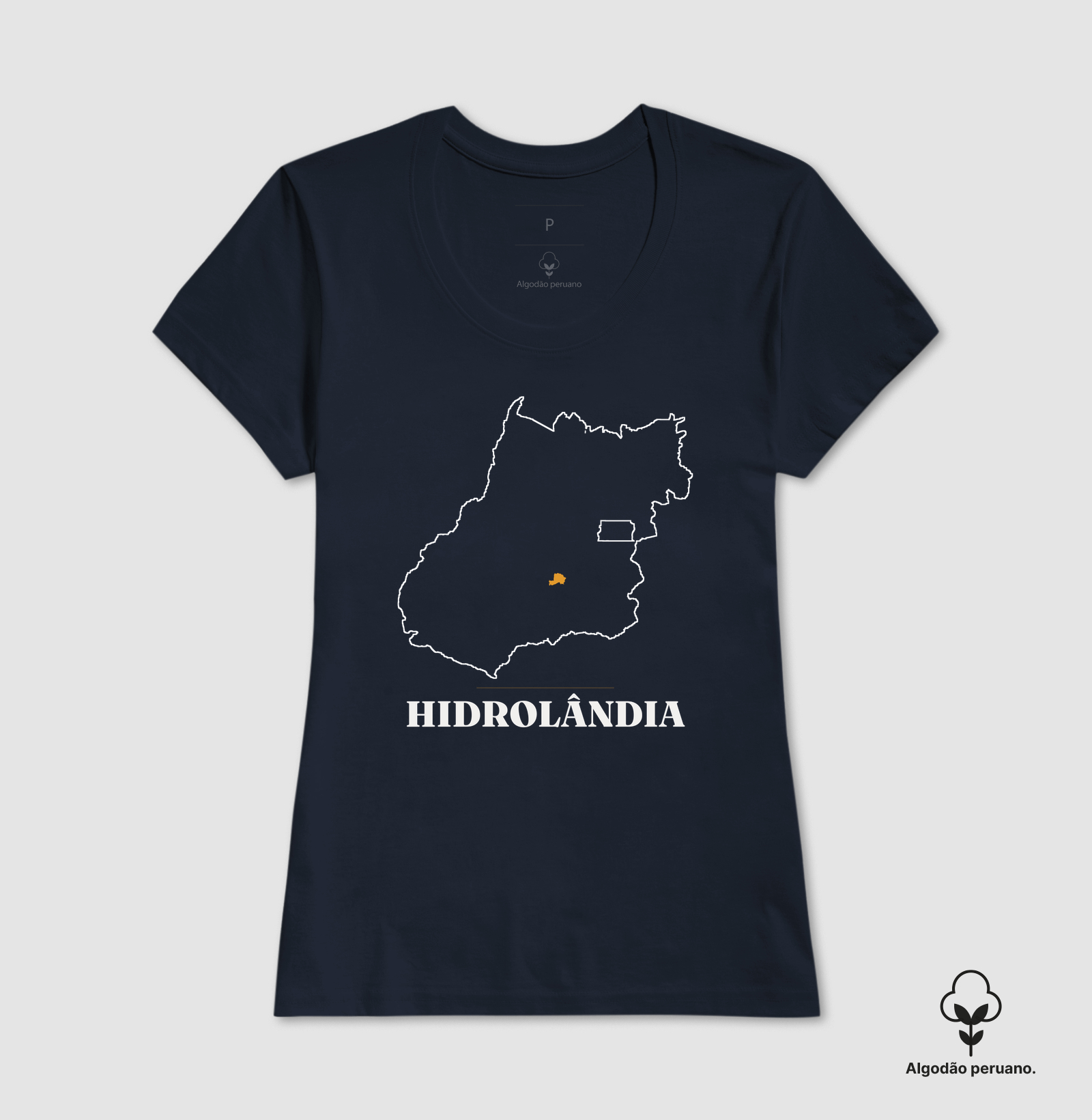 Hidrolândia | Traço GO - Imagem 6