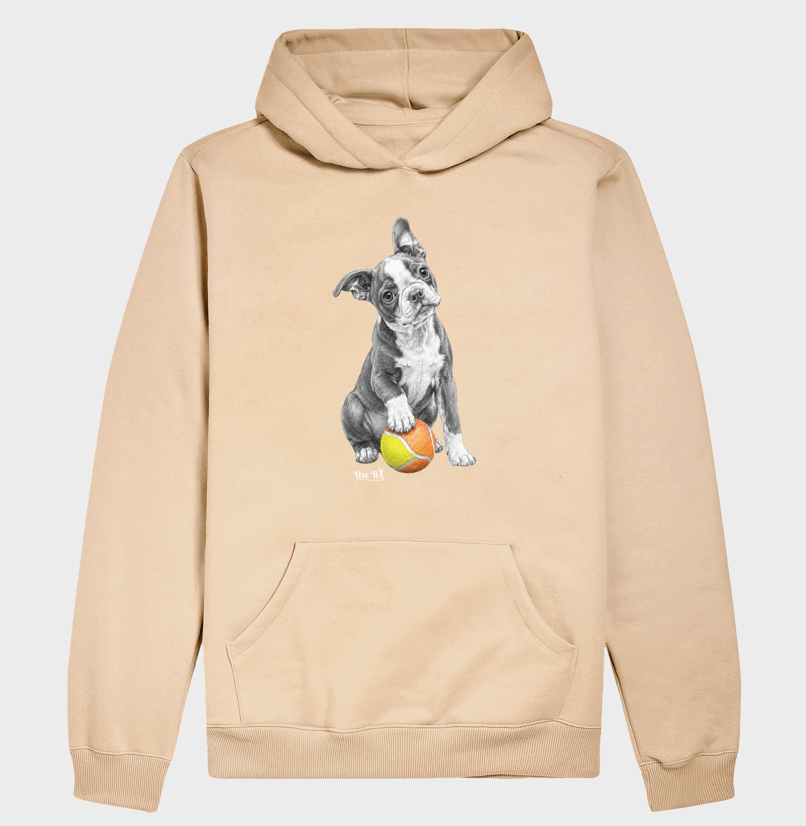 Boston Terrier do Beach - Imagem 5