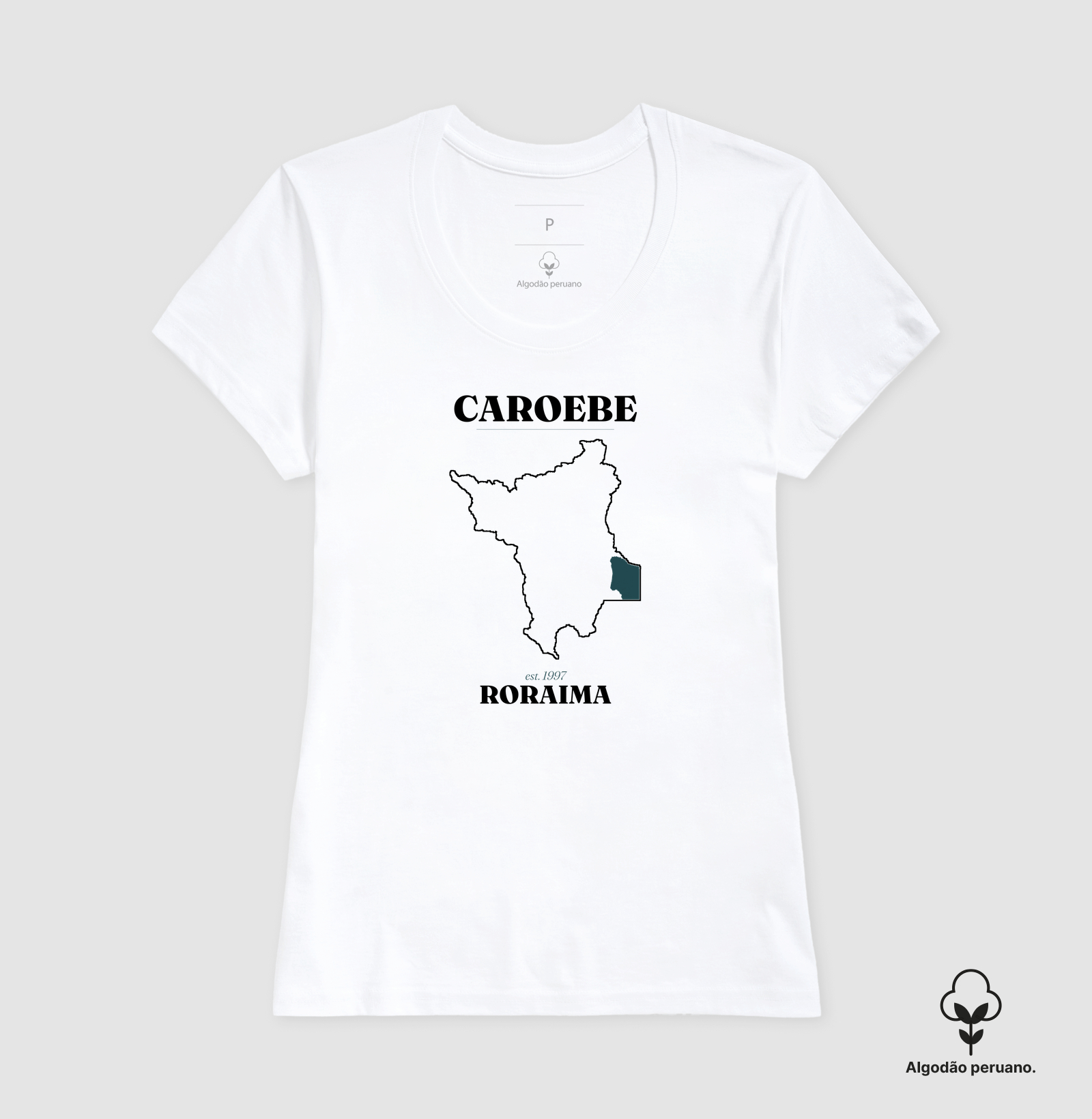 Caroebe | Legado RR - Imagem 4