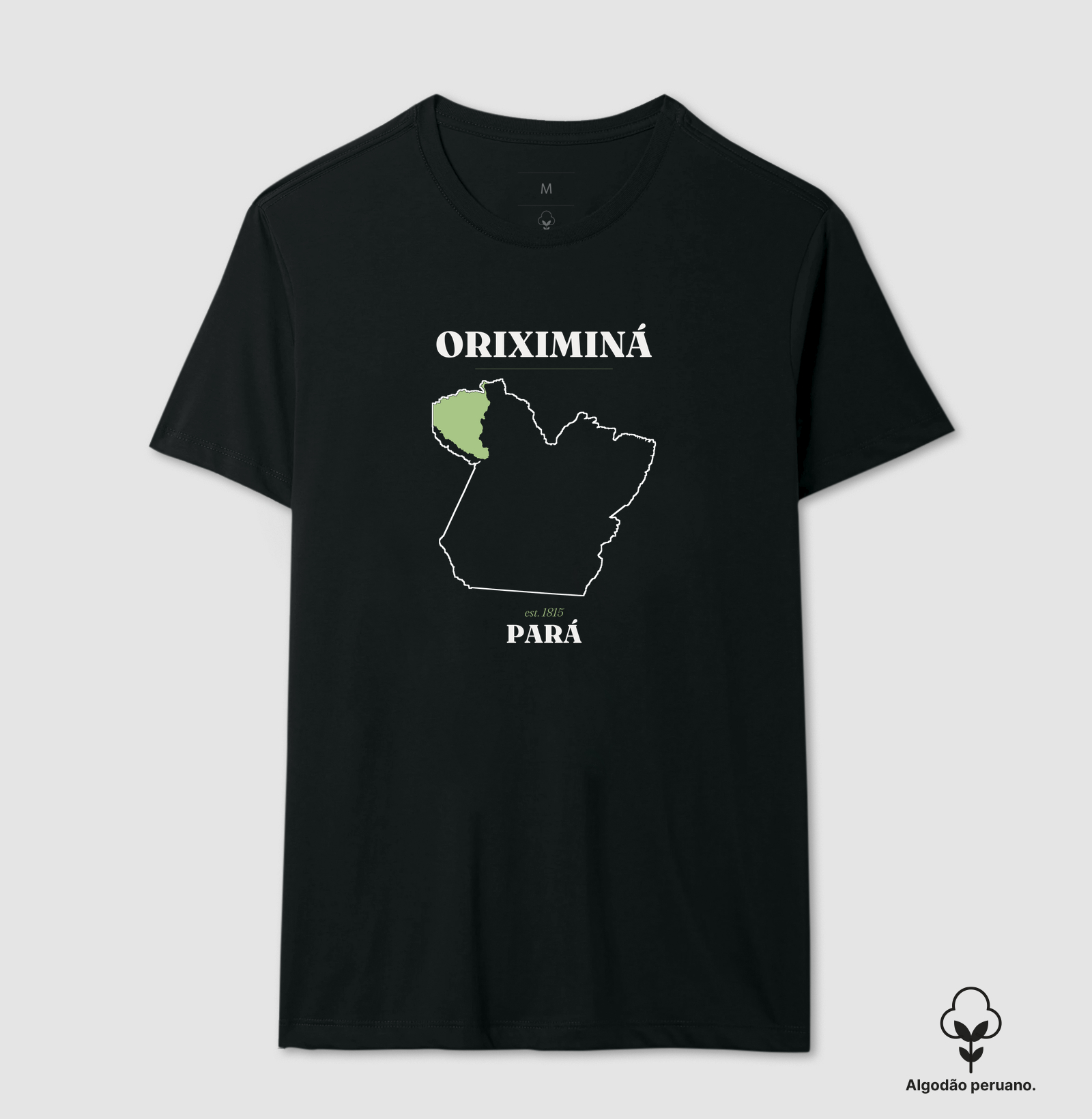 Oriximiná | Legado PA - Imagem 3