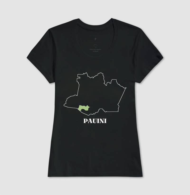 Pauini | Traço AM - Imagem 3