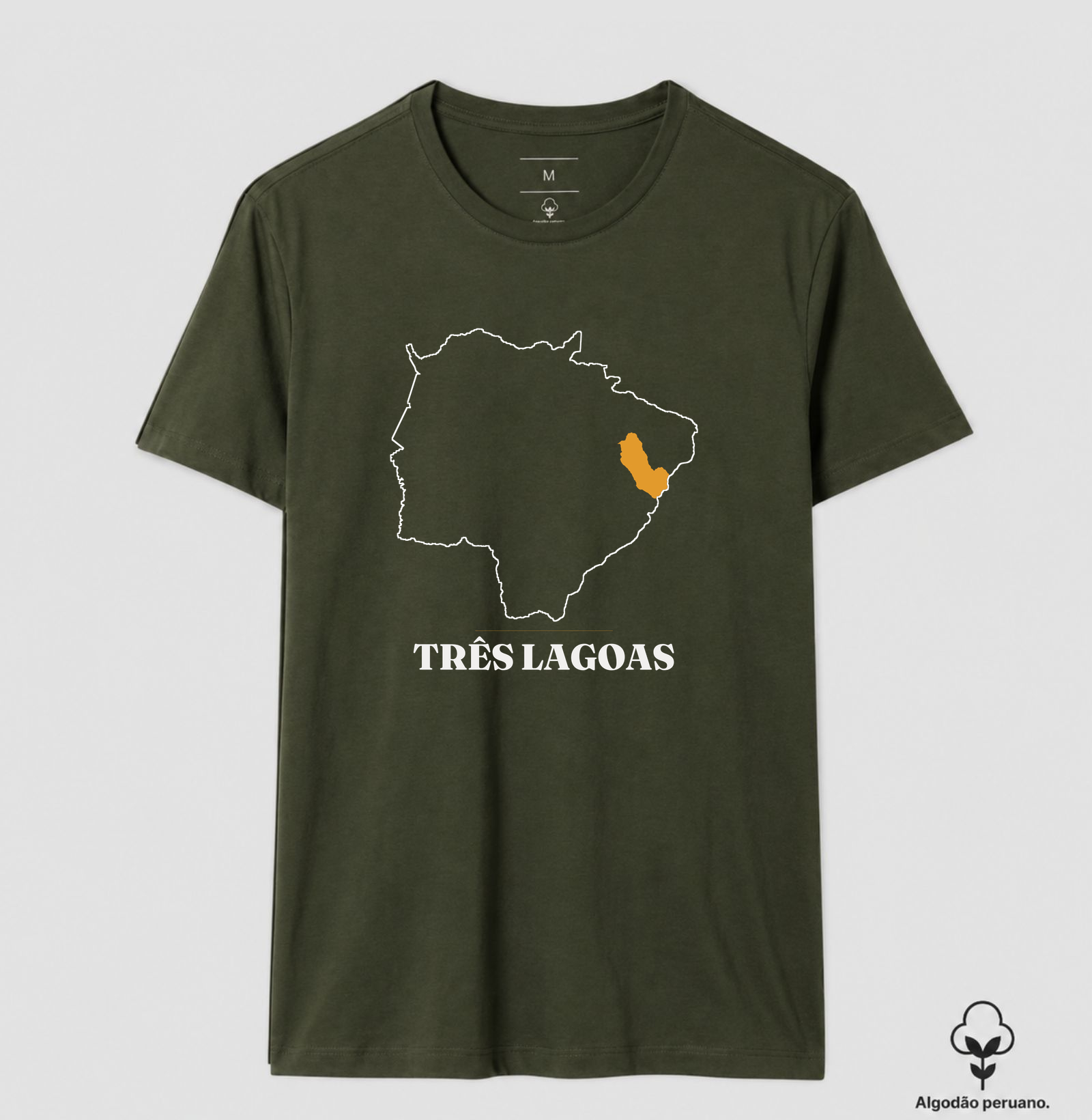 Três Lagoas | Traço MS - Imagem 8