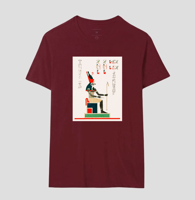 Camisa 17