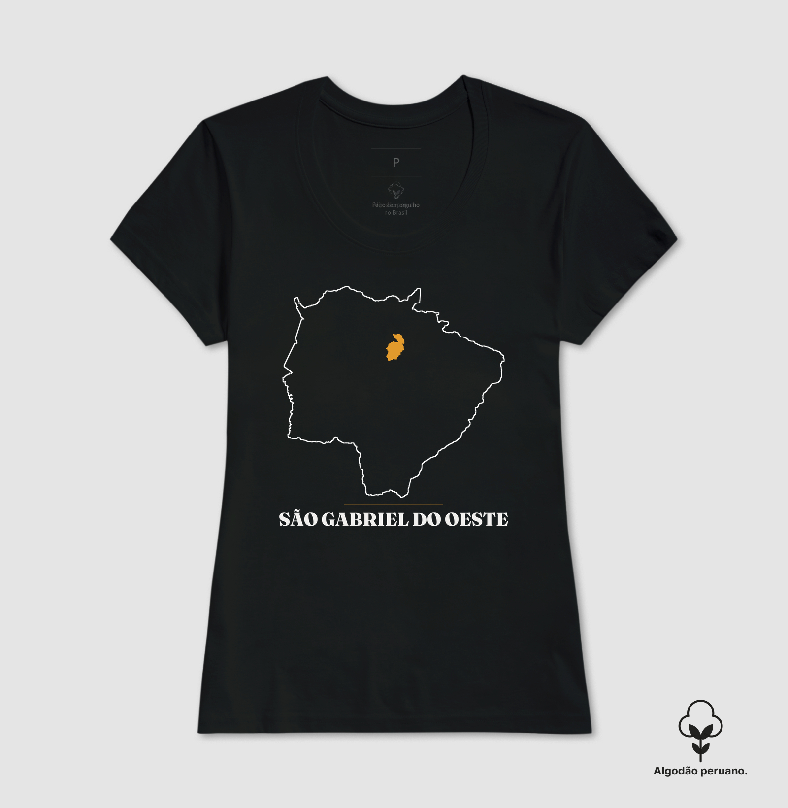 São Gabriel do Oeste | Traço MS - Imagem 3