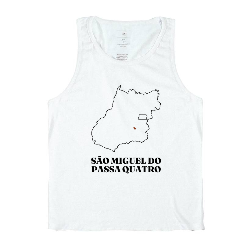 São Miguel do Passa Quatro | Traço GO - Imagem 2