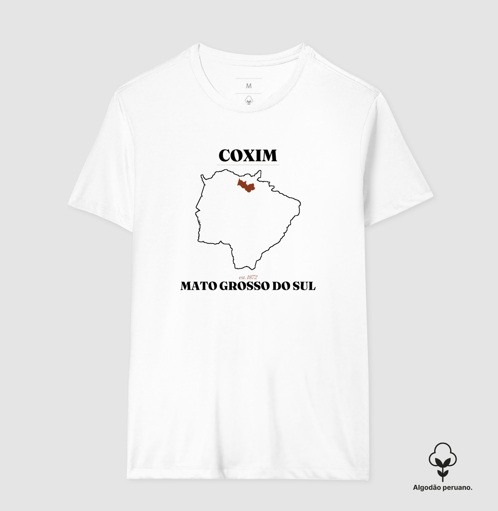 Coxim | Legado MS - Imagem 5