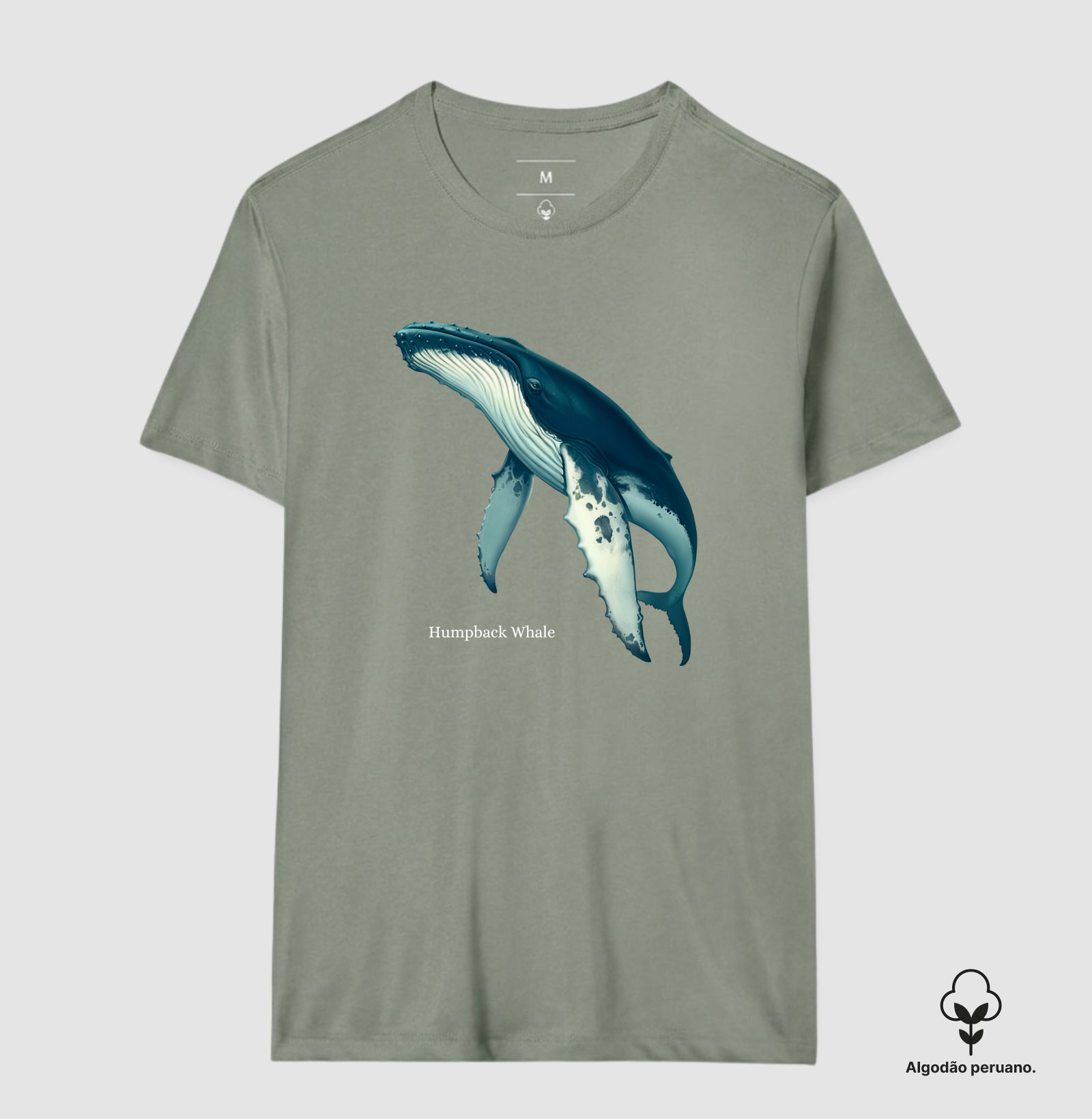 Humpback Whale - Imagem 8