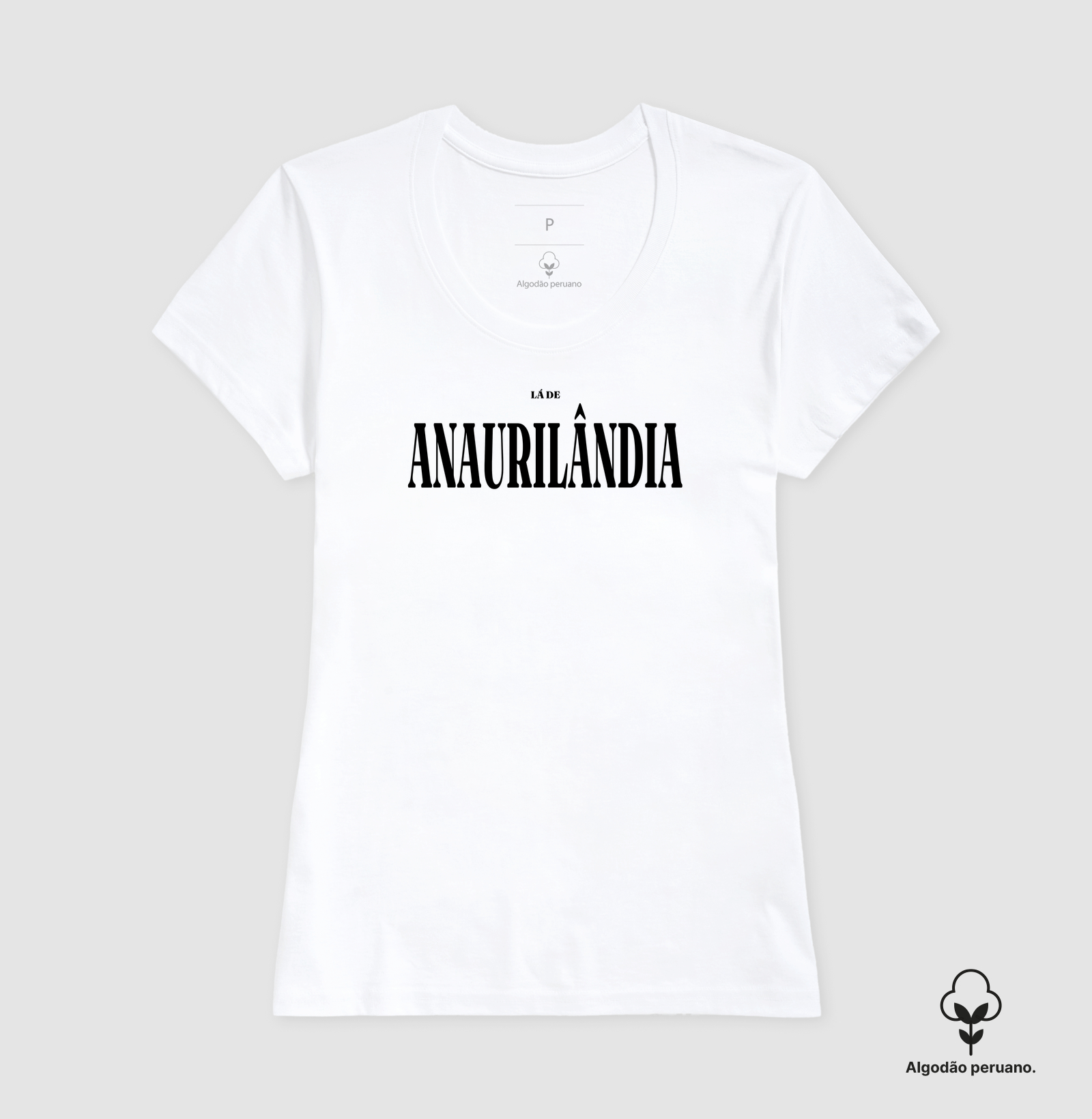 Anaurilândia | Tipografia MS - Imagem 3