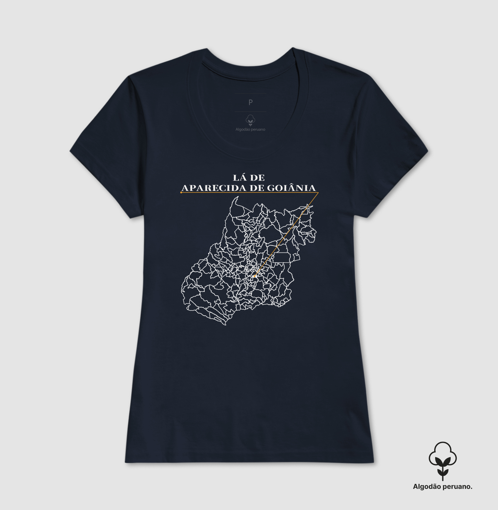 Aparecida de Goiânia | Origem GO - Imagem 4