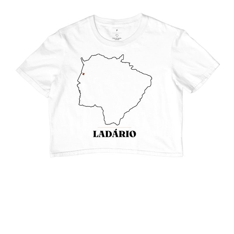 Ladário | Traço MS - Imagem 3