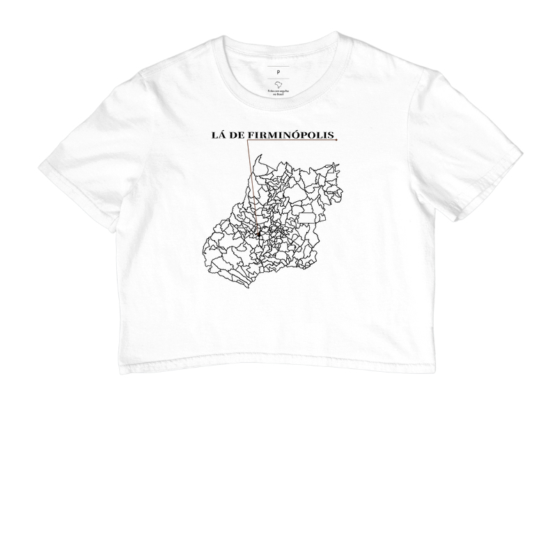 Firminópolis | Origem GO - Imagem 3