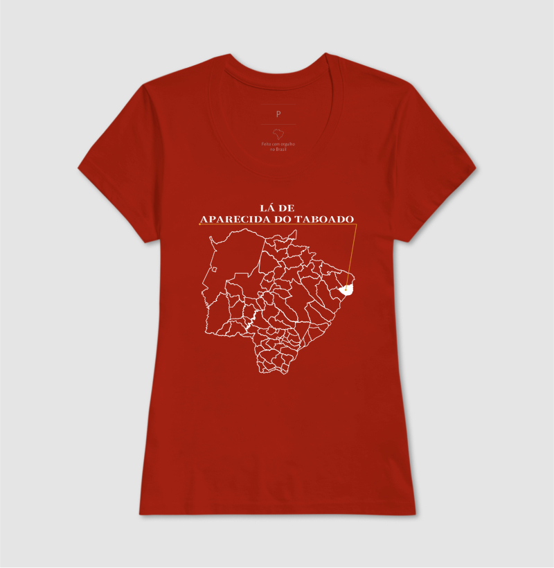 Aparecida do Taboado | Origem MS - Imagem 11