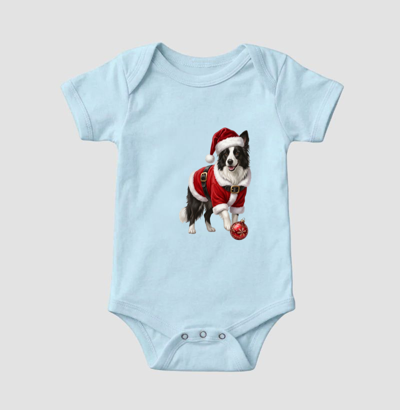 Border Collie - Natal - Imagem 4
