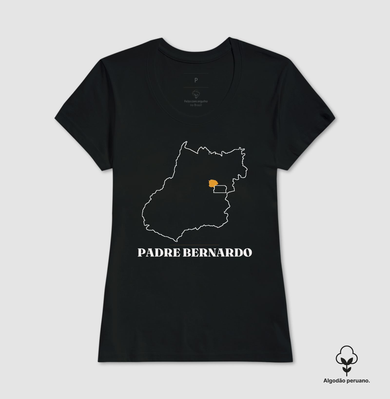 Padre Bernardo | Traço GO - Imagem 3