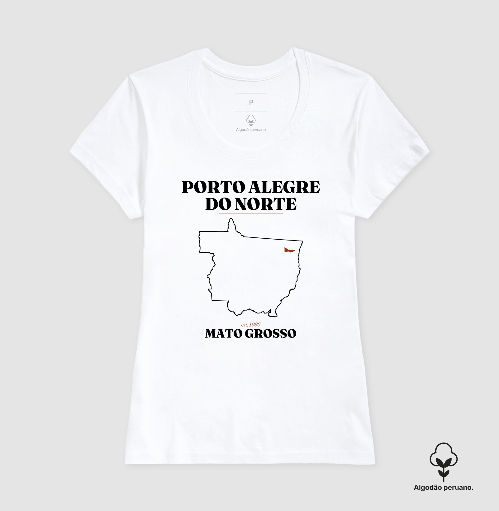 Camisa 1