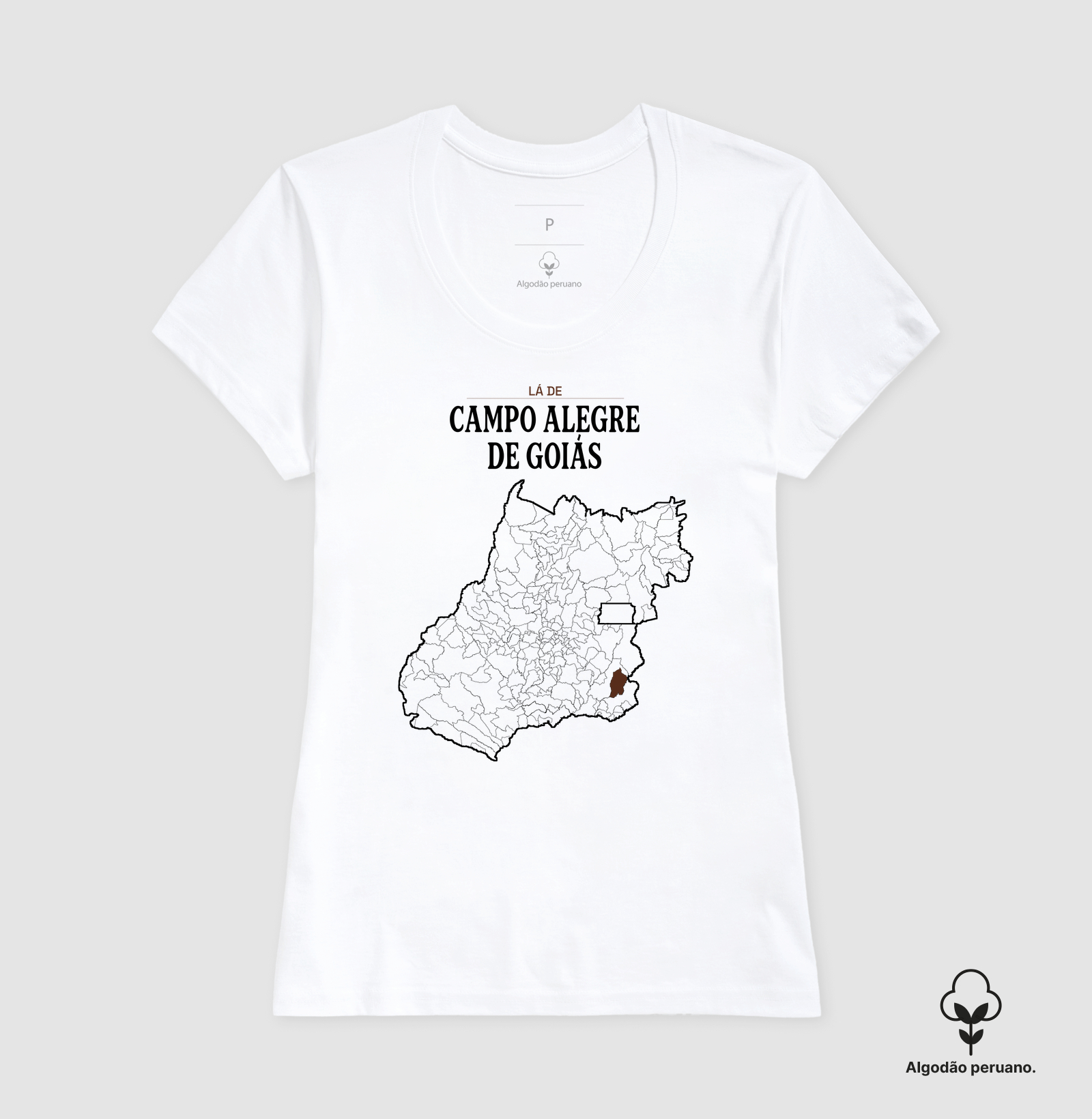 Campo Alegre de Goiás | Território GO - Imagem 8