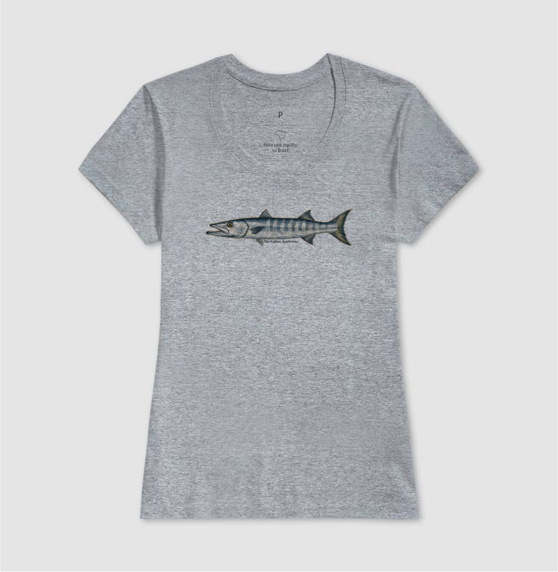 Barracuda - Imagem 9