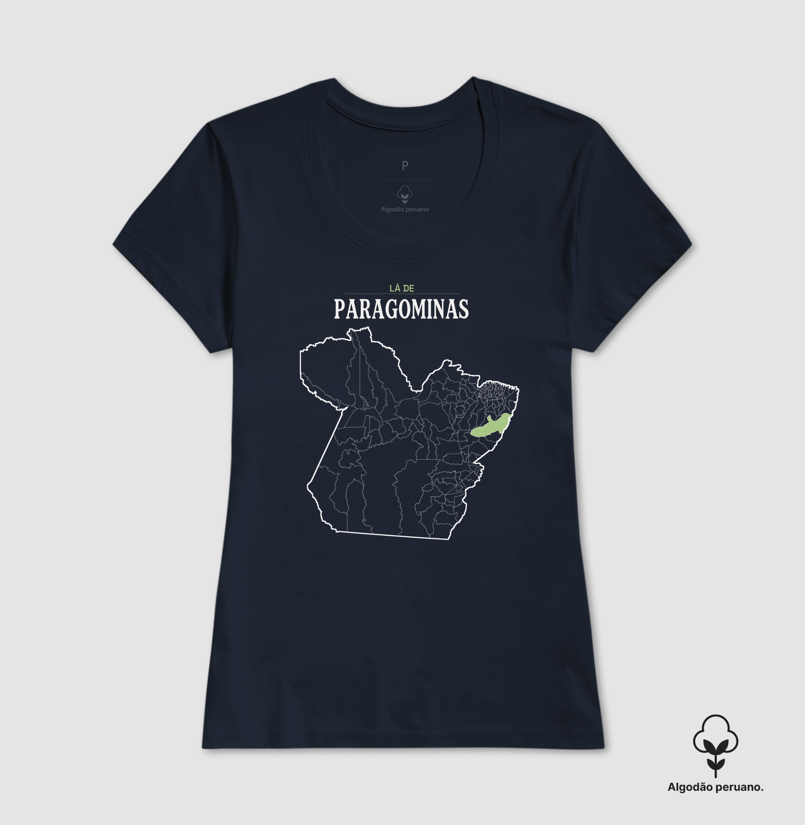 Paragominas | Território PA - Imagem 8