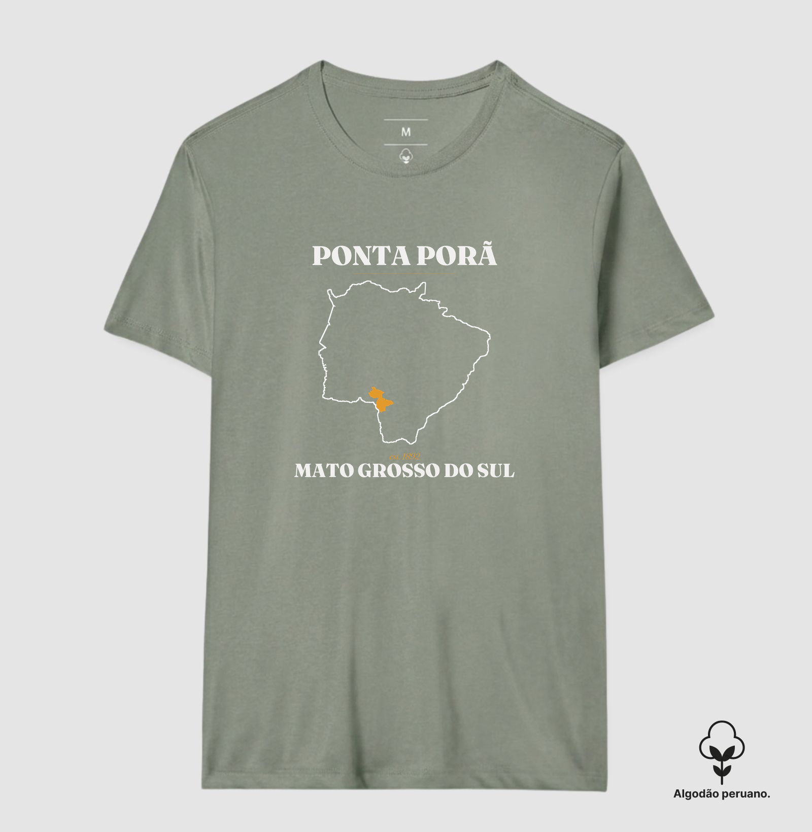 Ponta Porã | Legado MS - Imagem 9