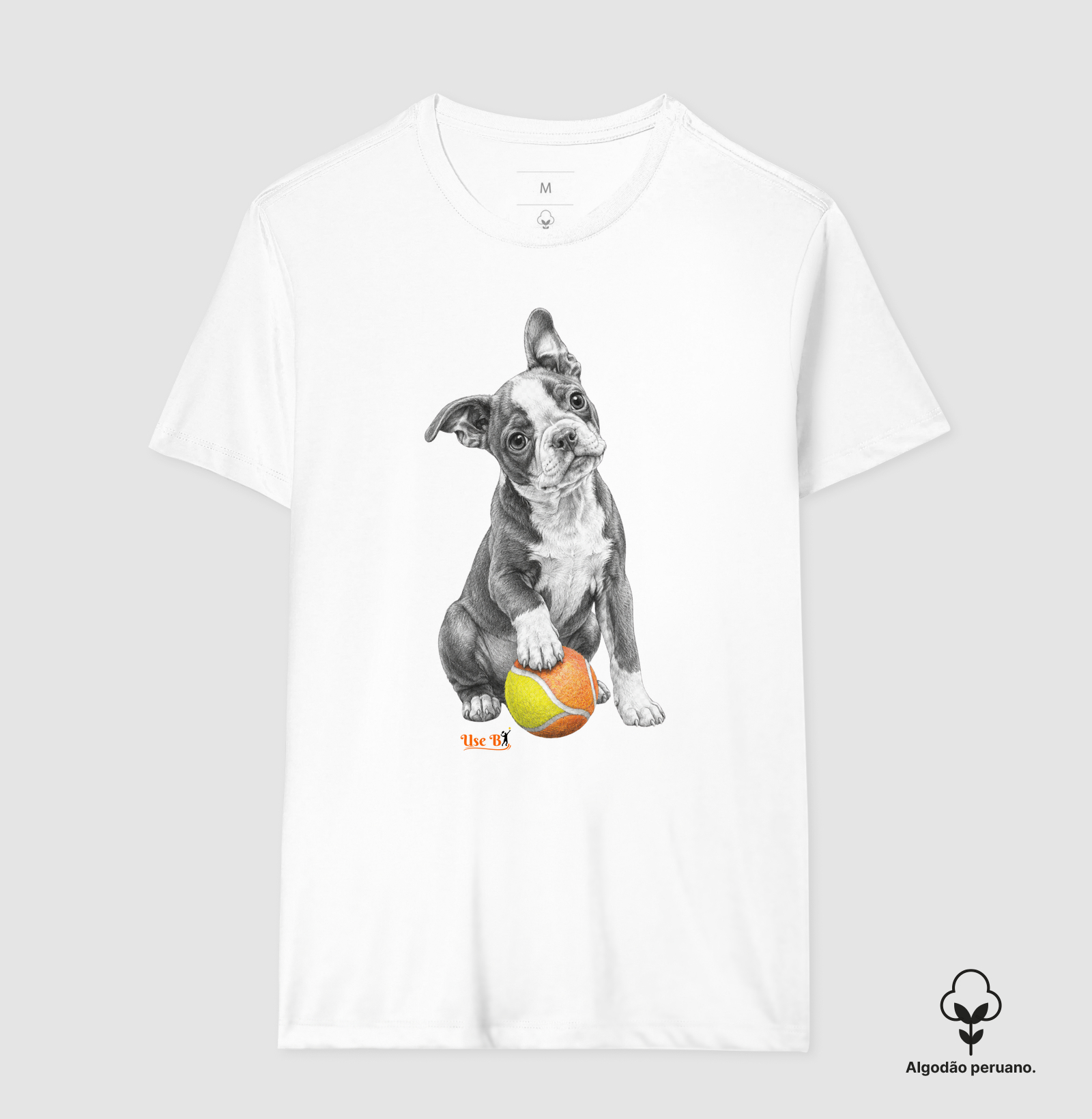 Boston Terrier do Beach - Imagem 2
