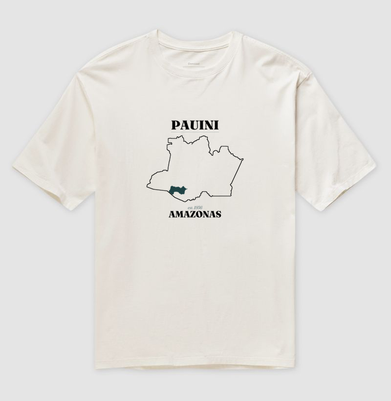 Pauini | Legado AM - Imagem 4
