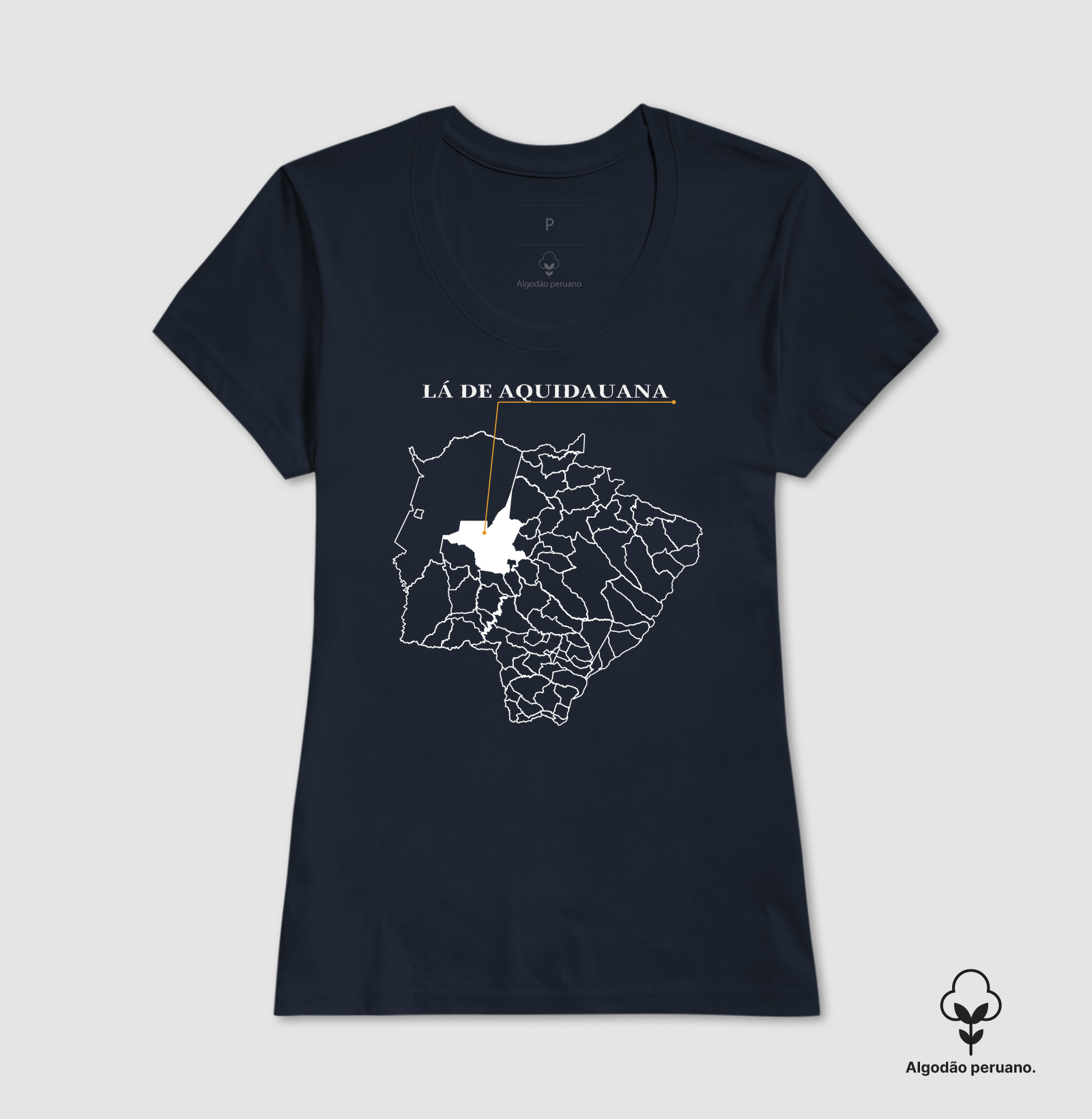 Aquidauana | Origem MS - Imagem 9