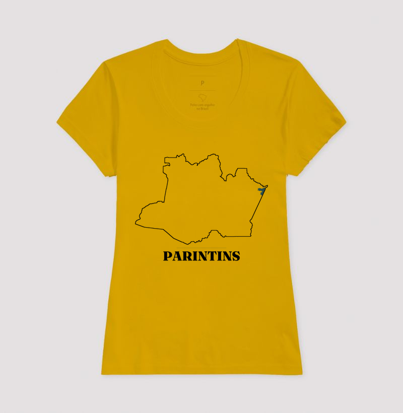 Parintins | Traço AM - Imagem 15