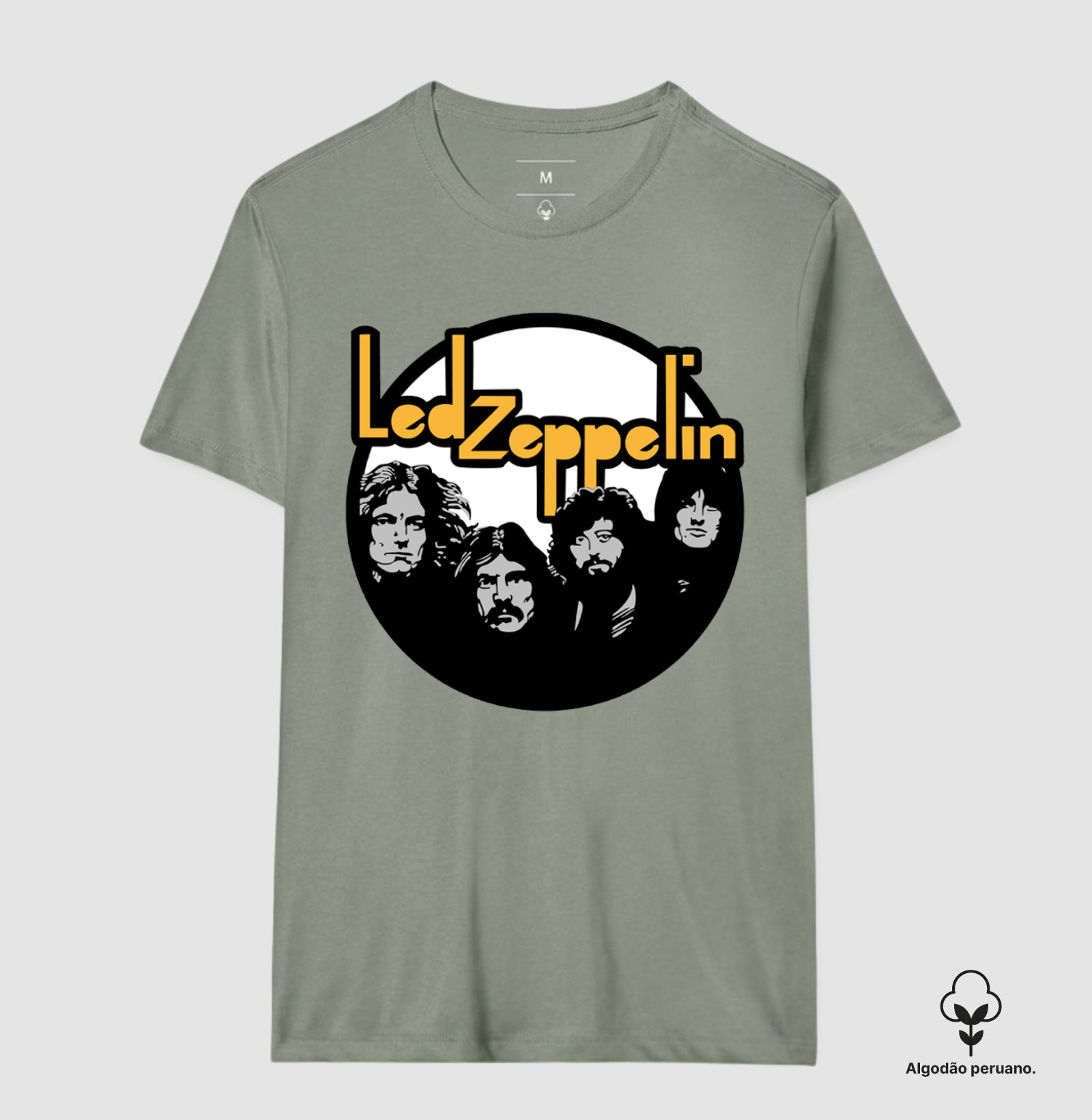 Led Zeppelin - Integrantes - Imagem 8