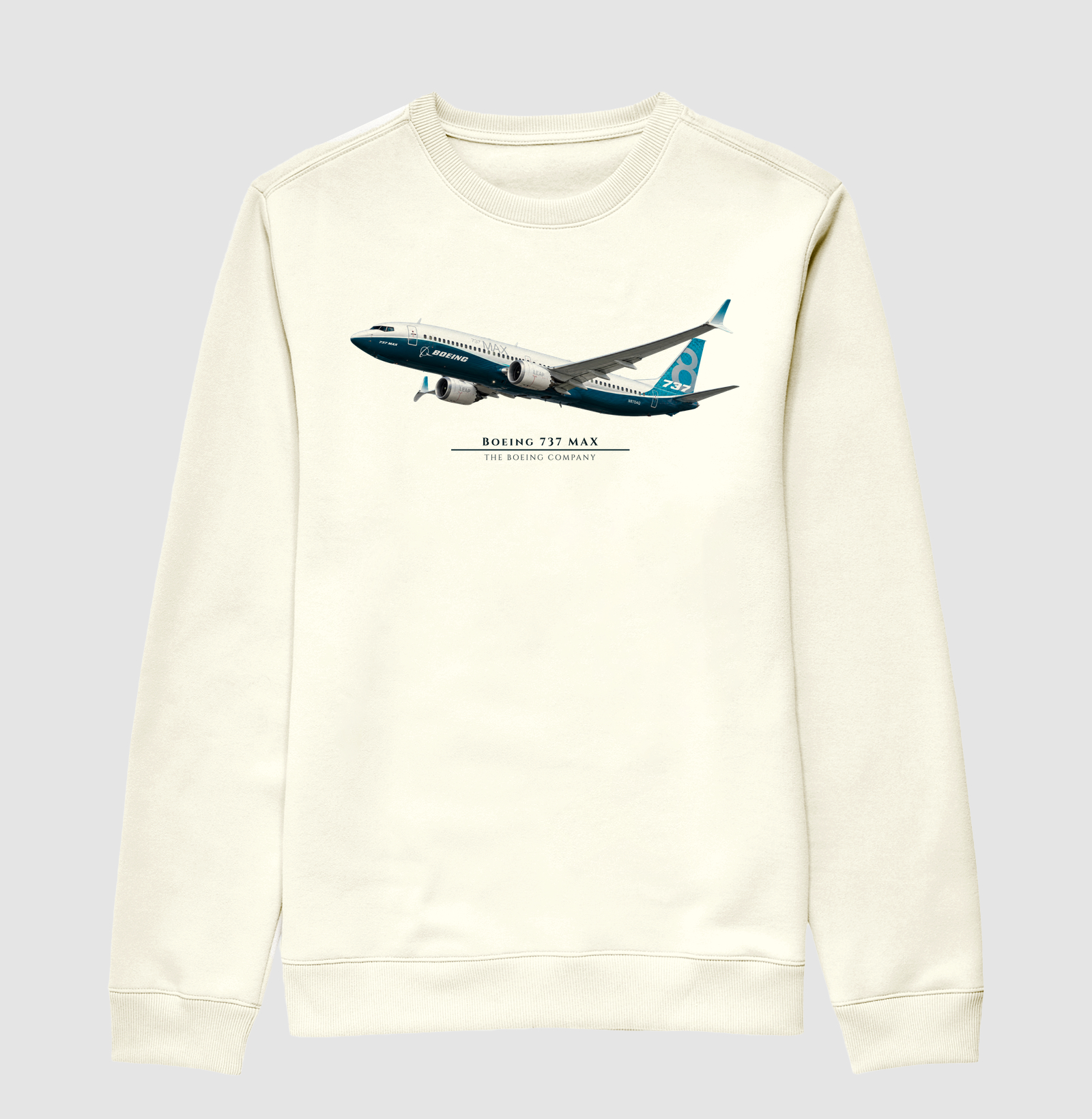 Boeing 737 MAX - Imagem 2