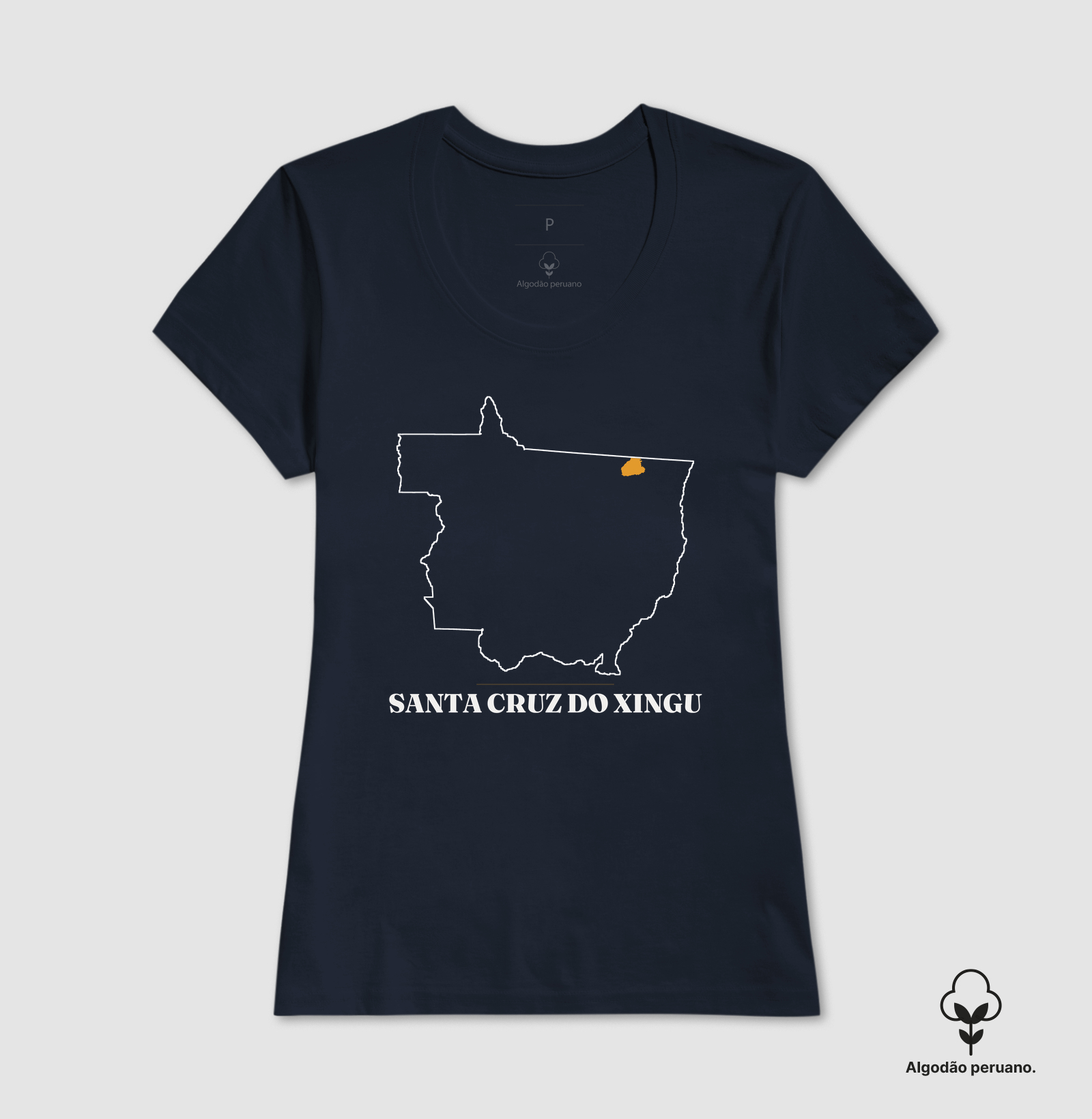 Santa Cruz do Xingu | Traço MT - Imagem 5