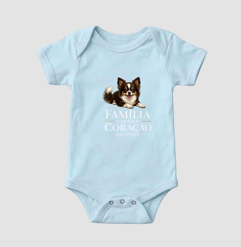 Chihuahua Pelo Longo Marrom e Branco - Família - Imagem 4