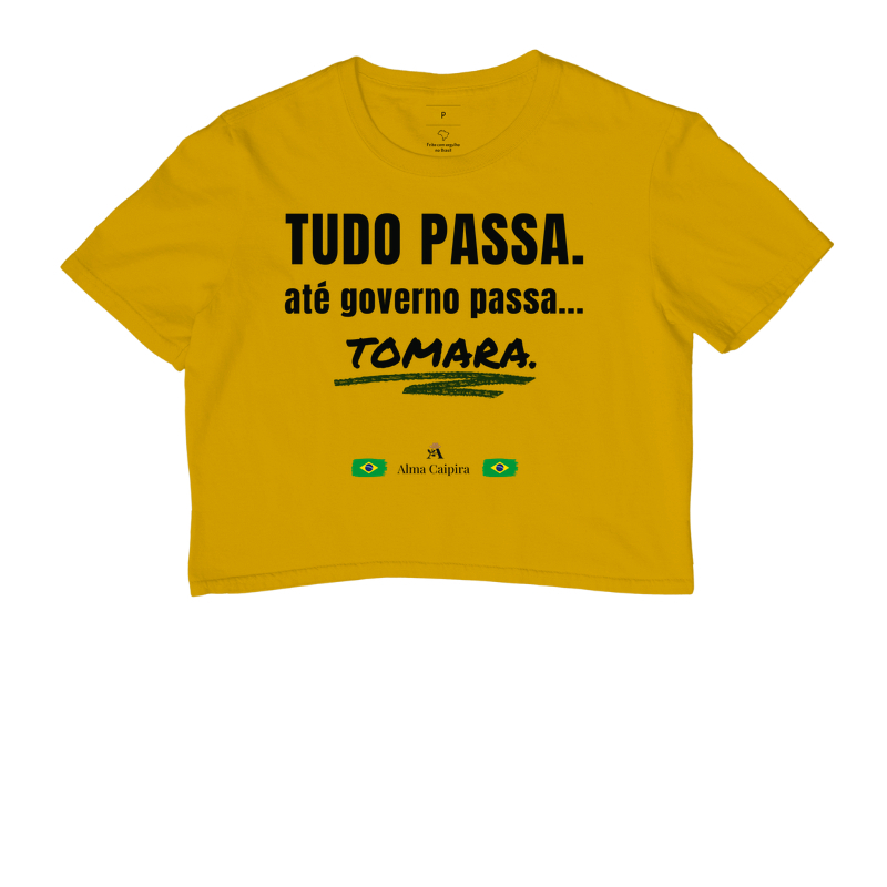Tudo passa, até governo passa... tomara - Imagem 8