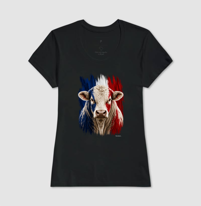 Charolês da França - Imagem 3