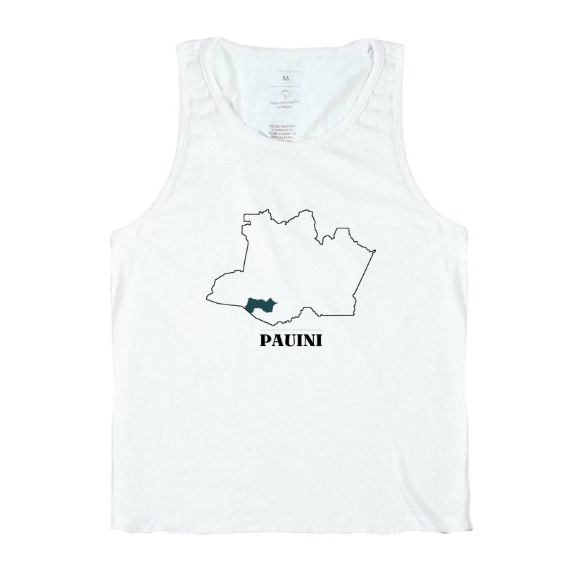 Pauini | Traço AM - Imagem 2