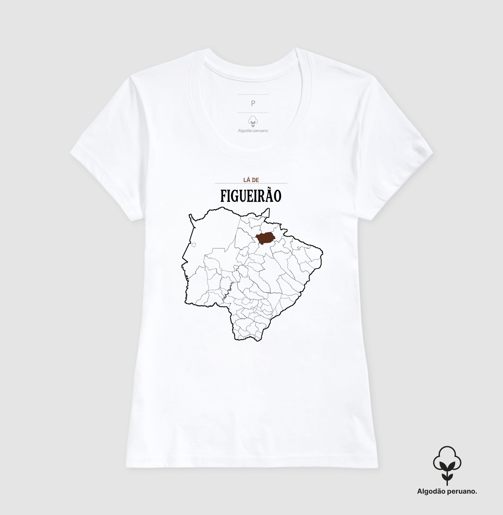 Figueirão | Território MS - Imagem 5