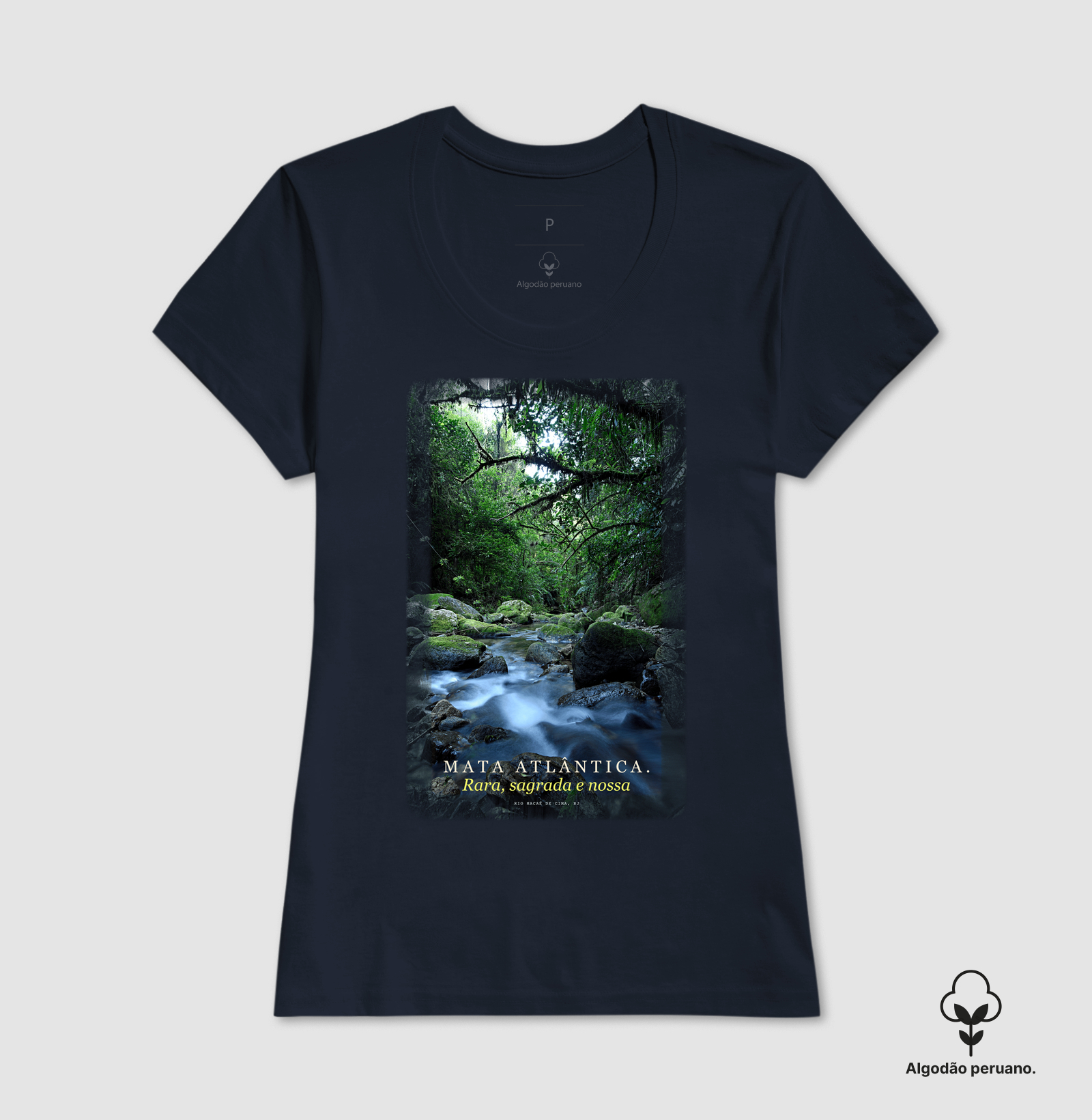 Mata Atlântica - Imagem 5