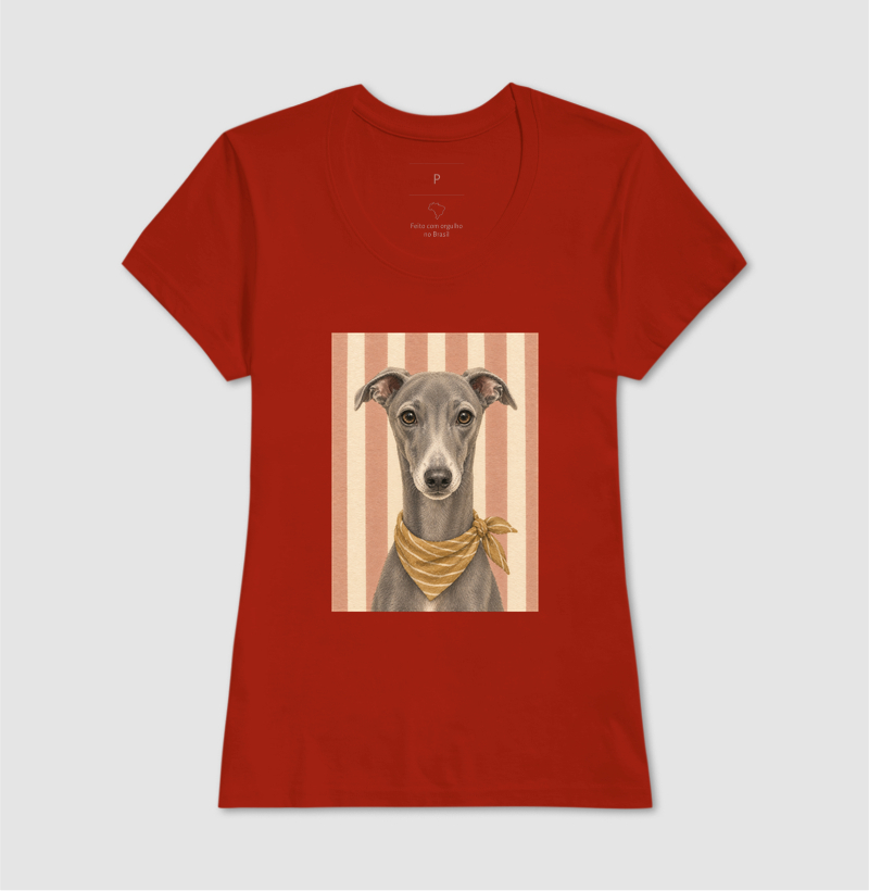 Galguinho Italiano - Gentle Paws - Imagem 11