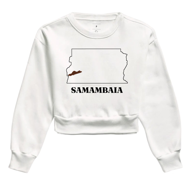 Samambaia | Traço DF - Imagem 3