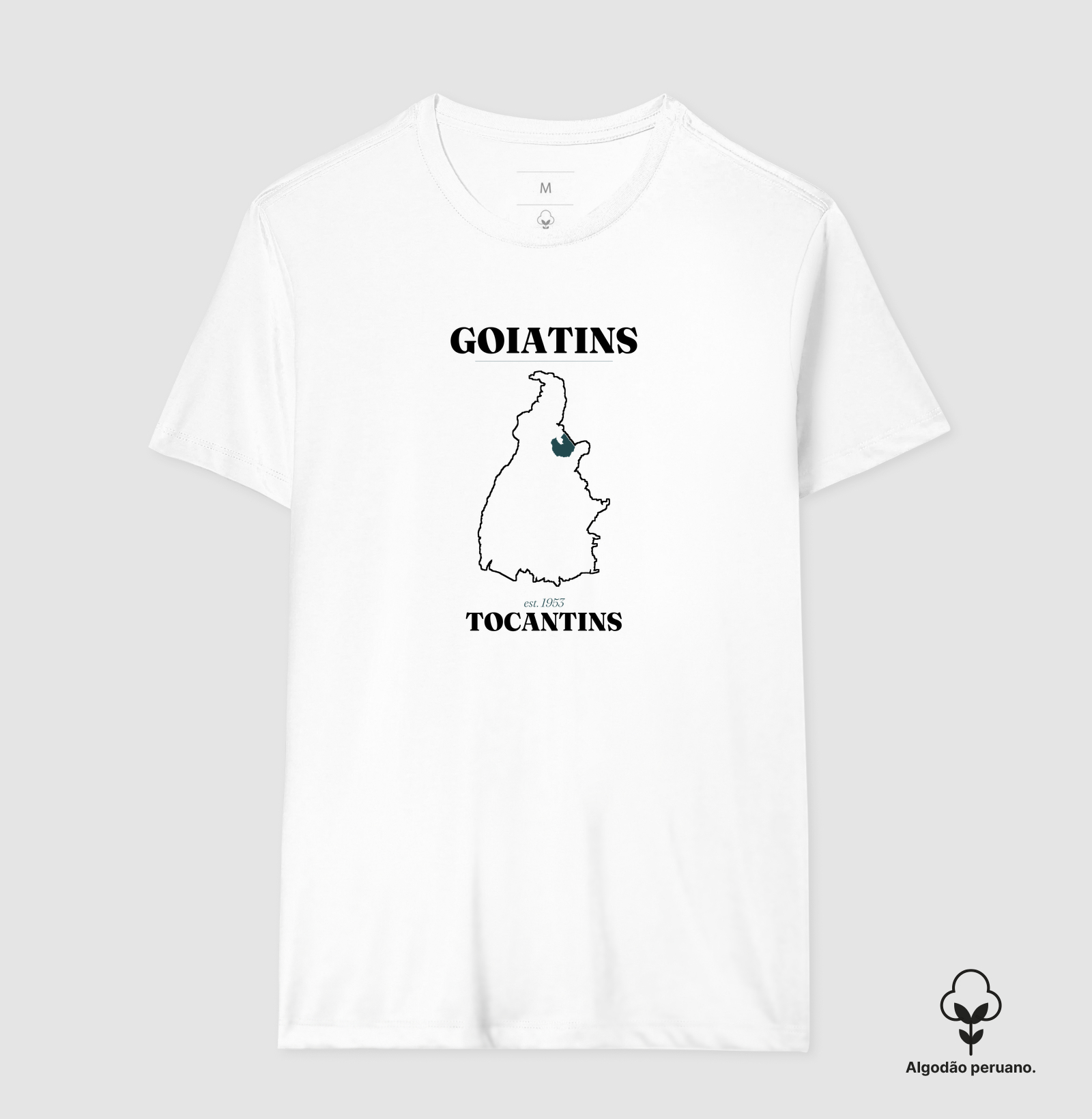 Goiatins | Legado TO - Imagem 7