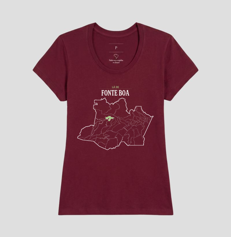 Fonte Boa | Território AM - Imagem 19