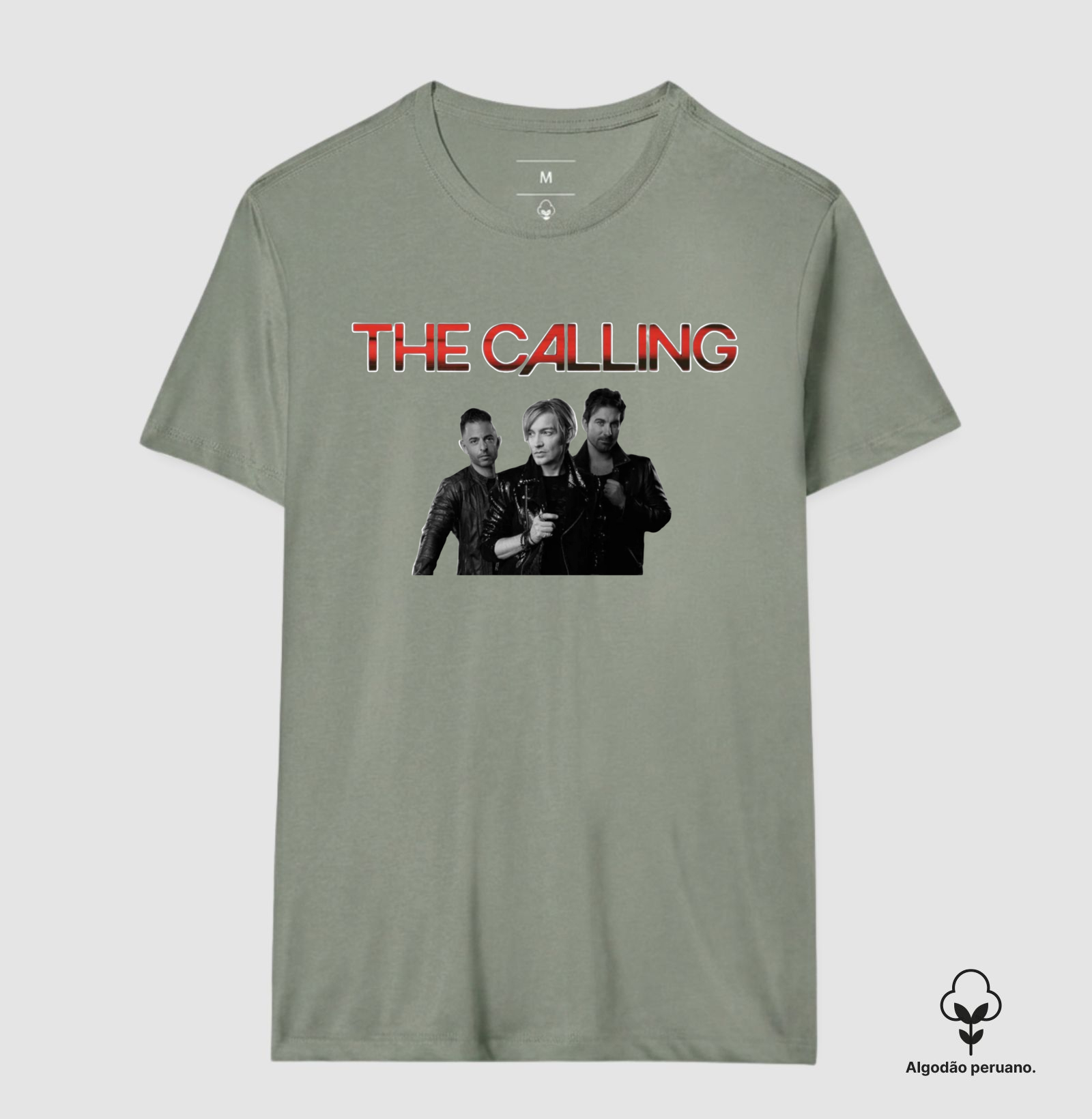 The Calling - Integrantes - Imagem 7